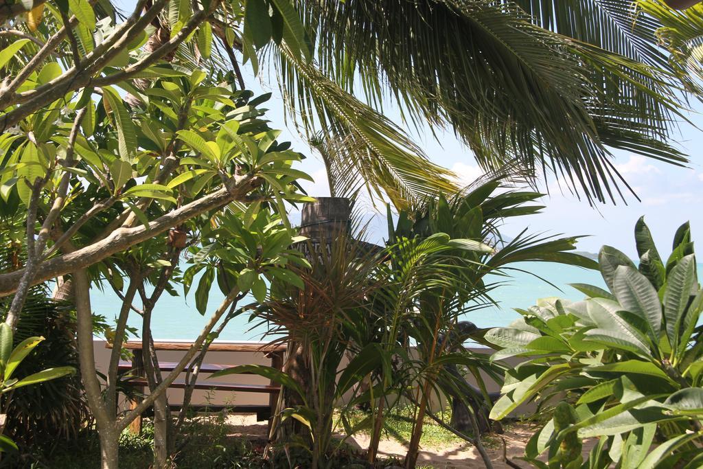 The Boardroom Beach Bungalows Бопхут Номер фото